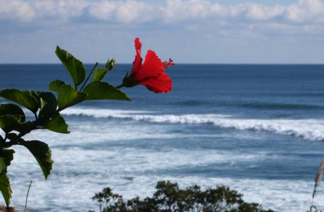 HOW TO USE ご利用方法